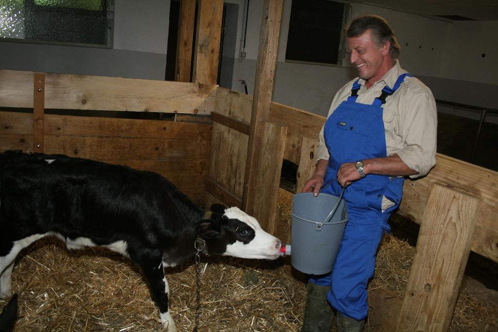 Hof Lässer Möggers Exteriör bild